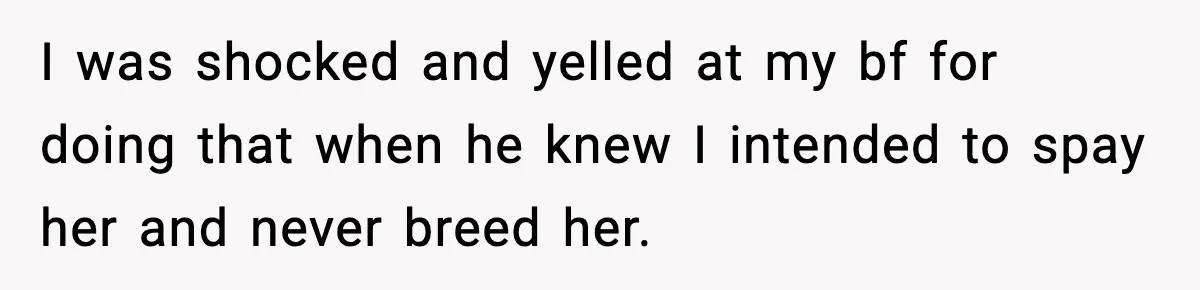 “He Did WHAT to My Dog?” Secret Breeding Sparks Breakup Decision I was shocked and yelled at my bf for doing that when he knew I intended to spay her and never breed her.