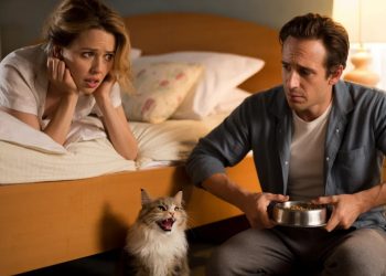 Man Tells Wife To Feed The Cat Or Get Out Of Bed, Seeks Judgement