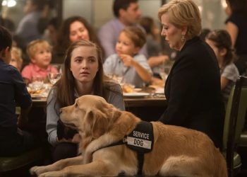 She Brought Her Service Dog to a Family Dinner to Manage Sensory Overload, and Her Aunt Called Her Self-Centered for It