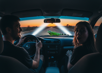 Woman Rejects Her Date For Laughing About Running Over A Confusion Iguana On The Way Home