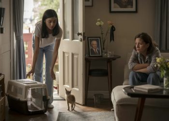 She Adopted Her Dream Cat Days After Her Grandfather Died, and It Sparked a Family Fallout