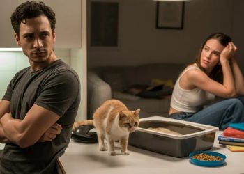 He Gave His Girlfriend an Ultimatum Over Her Cat, but the Real Issue Wasn’t the Pet