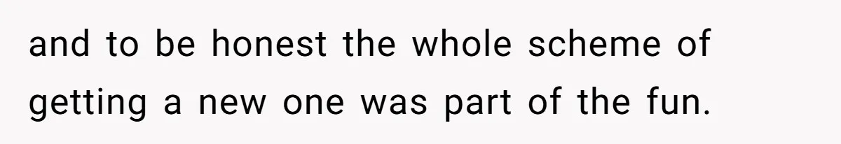 and to be honest the whole scheme of getting a new one was part of the fun.