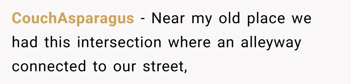 CouchAsparagus − Near my old place we had this intersection where an alleyway connected to our street,