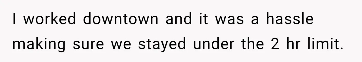 I worked downtown and it was a hassle making sure we stayed under the 2 hr limit.