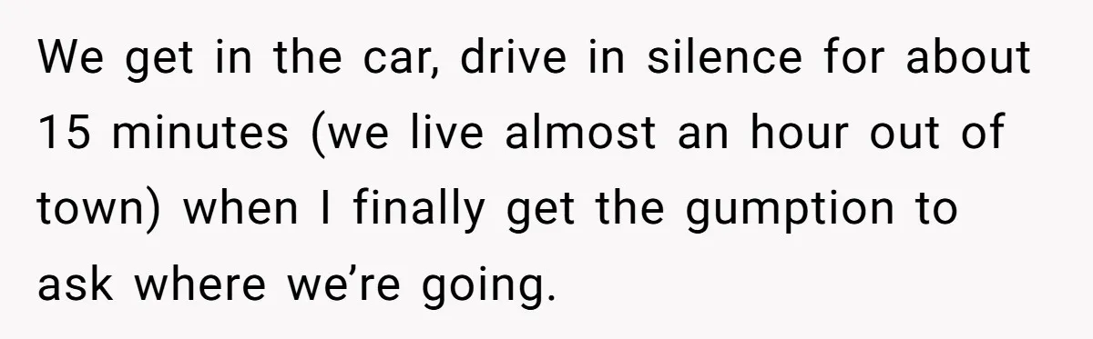We get in the car, drive in silence for about 15 minutes (we live almost an hour out of town) when I finally get the gumption to ask where we’re...