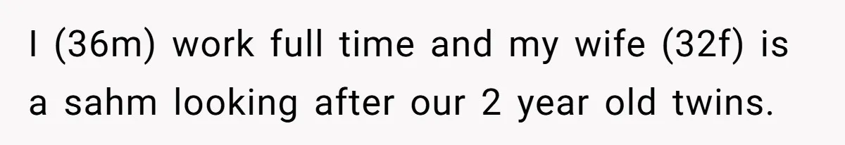 I (36m) work full time and my wife (32f) is a sahm looking after our 2 year old twins.