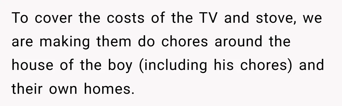 To cover the costs of the TV and stove, we are making them do chores around the house of the boy (including his chores) and their own homes.