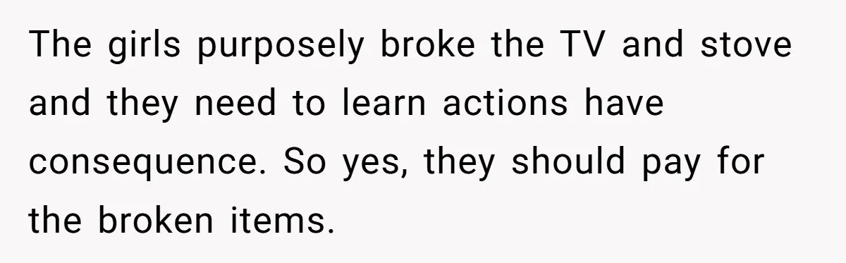 The girls purposely broke the TV and stove and they need to learn actions have consequence. So yes, they should pay for the broken items.