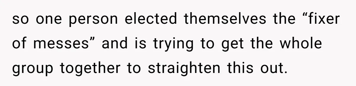 so one person elected themselves the “fixer of messes” and is trying to get the whole group together to straighten this out.