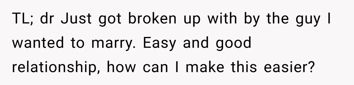 TL; dr Just got broken up with by the guy I wanted to marry. Easy and good relationship, how can I make this easier?