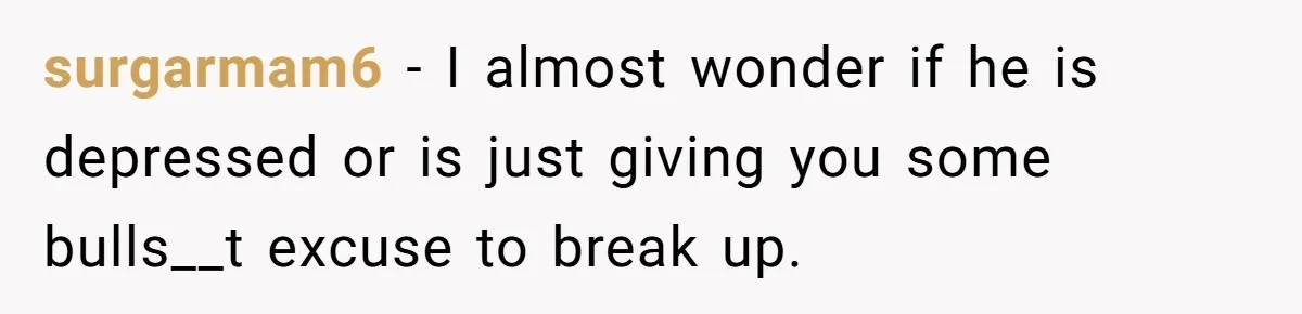 surgarmam6 − I almost wonder if he is depressed or is just giving you some bulls__t excuse to break up.