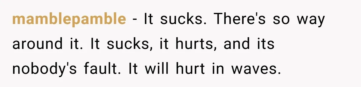 mamblepamble − It sucks. There's so way around it. It sucks, it hurts, and its nobody's fault. It will hurt in waves.