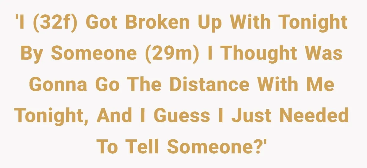 'I (32F) got broken up with tonight by someone (29M) I thought was gonna go the distance with me tonight, and I guess I just needed to tell someone?'