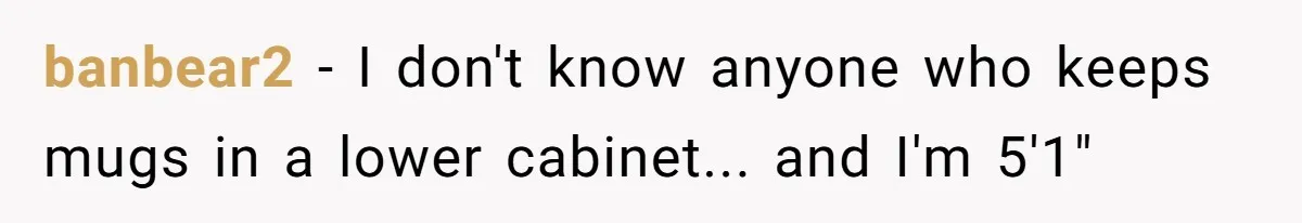 banbear2 − I don't know anyone who keeps mugs in a lower cabinet... and I'm 5'1"