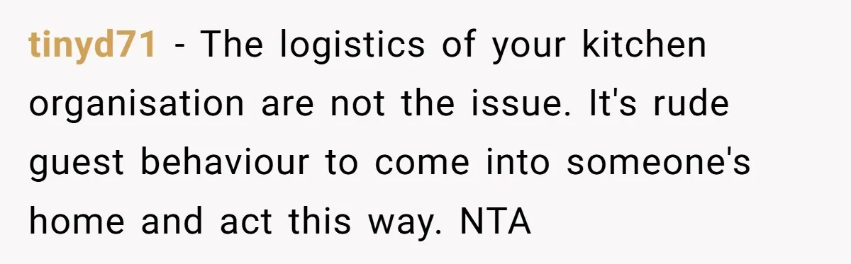 tinyd71 − The logistics of your kitchen organisation are not the issue. It's rude guest behaviour to come into someone's home and act this way. NTA
