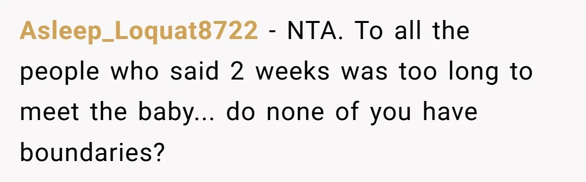 Asleep_Loquat8722 − NTA. To all the people who said 2 weeks was too long to meet the baby... do none of you have boundaries?