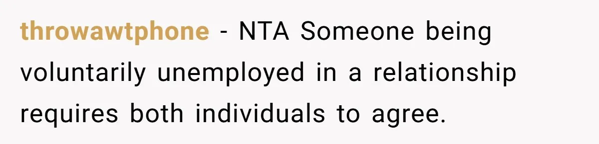throwawtphone − NTA Someone being voluntarily unemployed in a relationship requires both individuals to agree.