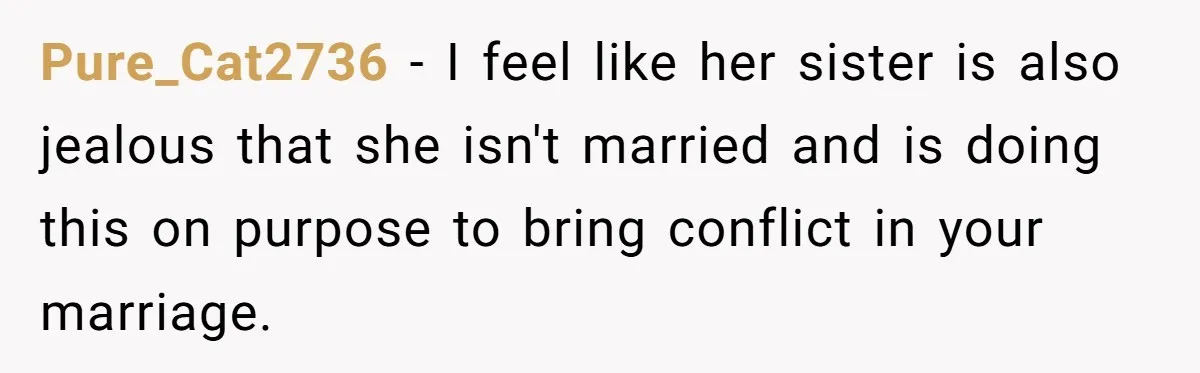 Pure_Cat2736 − I feel like her sister is also jealous that she isn't married and is doing this on purpose to bring conflict in your marriage.