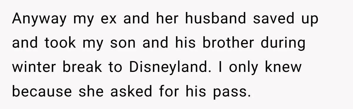 Anyway my ex and her husband saved up and took my son and his brother during winter break to Disneyland. I only knew because she asked for his pass.