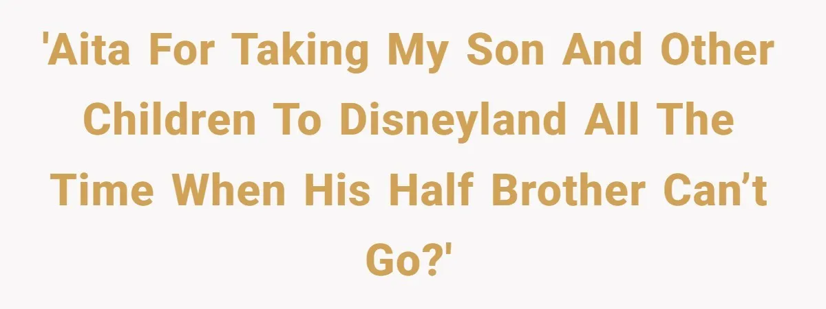 'AITA for taking my son and other children to Disneyland all the time when his half brother can’t go?'