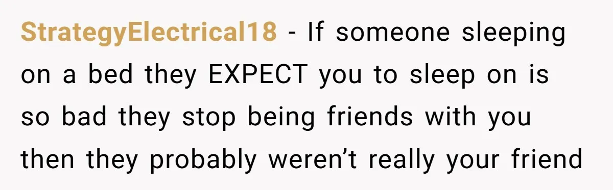 StrategyElectrical18 − If someone sleeping on a bed they EXPECT you to sleep on is so bad they stop being friends with you then they probably weren’t really your friend