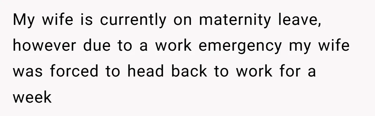 My wife is currently on maternity leave, however due to a work emergency my wife was forced to head back to work for a week
