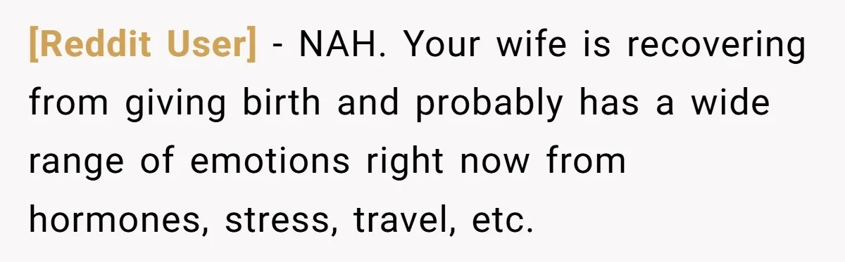 [Reddit User] − NAH. Your wife is recovering from giving birth and probably has a wide range of emotions right now from hormones, stress, travel, etc.