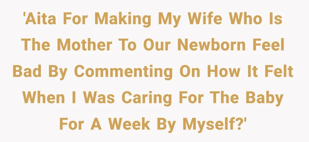 'AITA for making my wife who is the mother to our newborn feel bad by commenting on how it felt when I was caring for the baby for a week...