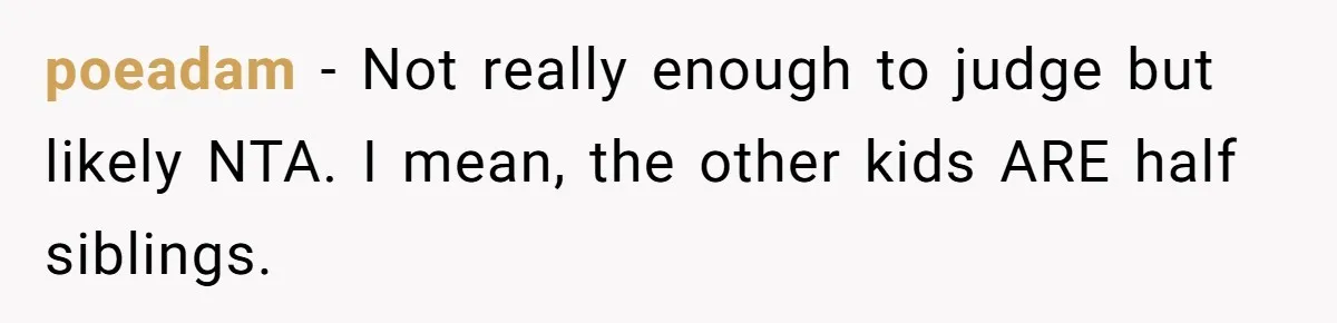 poeadam − Not really enough to judge but likely NTA. I mean, the other kids ARE half siblings.