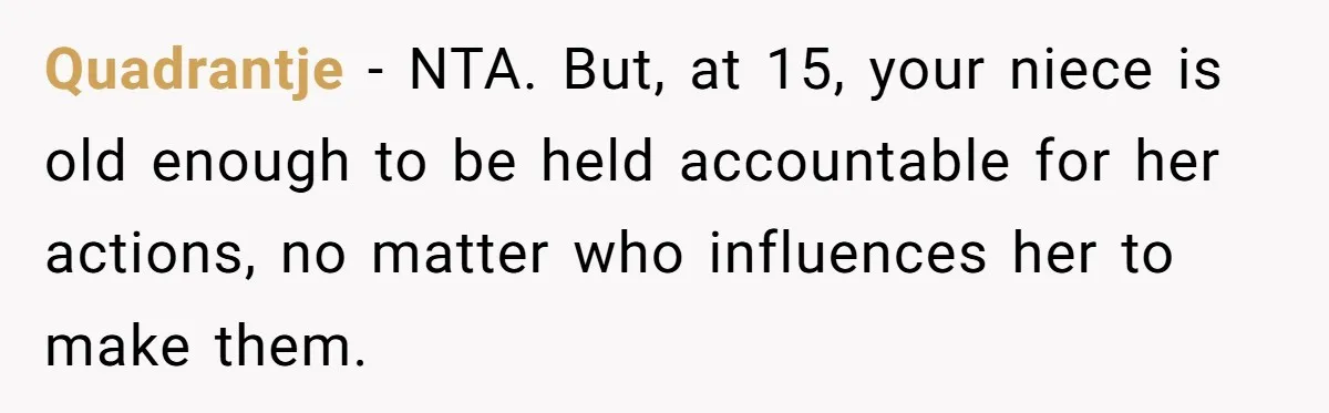 Quadrantje − NTA. But, at 15, your niece is old enough to be held accountable for her actions, no matter who influences her to make them.