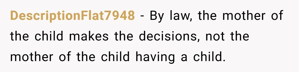 DescriptionFlat7948 − By law, the mother of the child makes the decisions, not the mother of the child having a child.