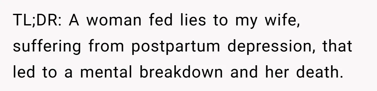TL;DR: A woman fed lies to my wife, suffering from postpartum depression, that led to a mental breakdown and her death.