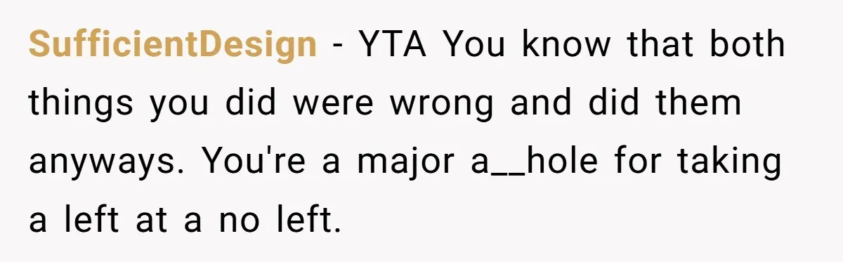 SufficientDesign − YTA You know that both things you did were wrong and did them anyways. You're a major a__hole for taking a left at a no left.
