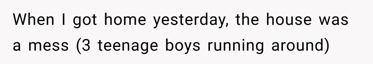 When I got home yesterday, the house was a mess (3 teenage boys running around)
