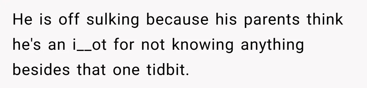 He is off sulking because his parents think he's an i__ot for not knowing anything besides that one tidbit.