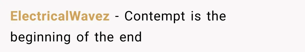 ElectricalWavez − Contempt is the beginning of the end