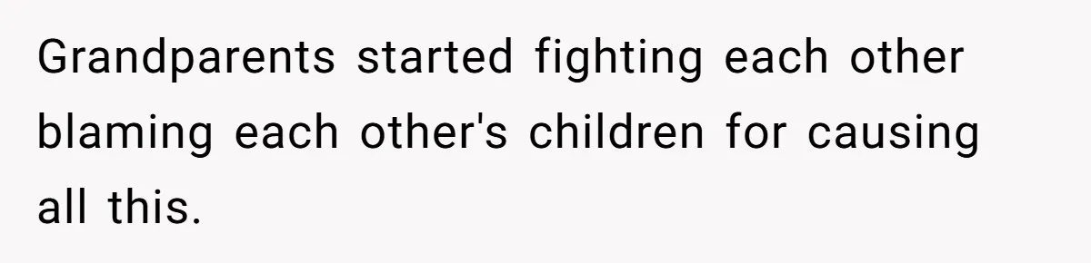 Grandparents started fighting each other blaming each other's children for causing all this.