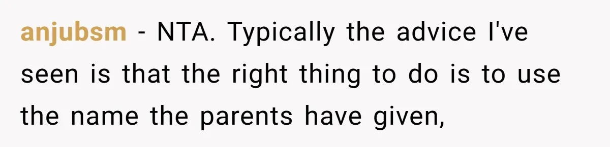 anjubsm − NTA. Typically the advice I've seen is that the right thing to do is to use the name the parents have given,