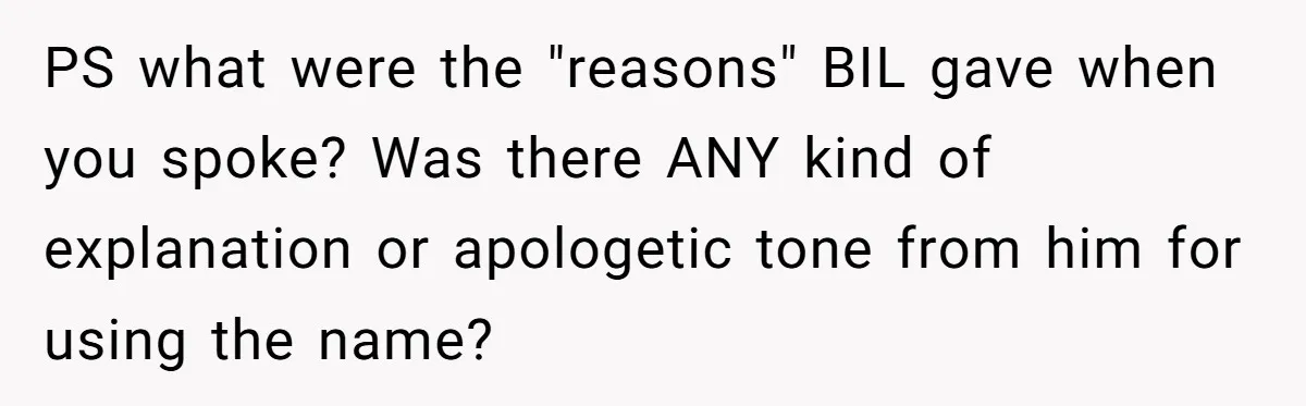 PS what were the "reasons" BIL gave when you spoke? Was there ANY kind of explanation or apologetic tone from him for using the name?
