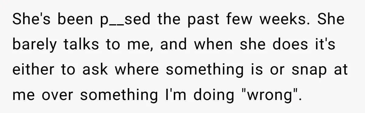 She's been p__sed the past few weeks. She barely talks to me, and when she does it's either to ask where something is or snap at me over something I'm...