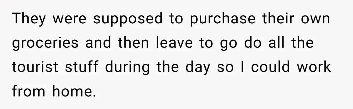 They were supposed to purchase their own groceries and then leave to go do all the tourist stuff during the day so I could work from home.