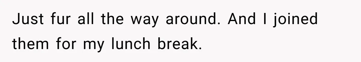 Just fur all the way around. And I joined them for my lunch break.
