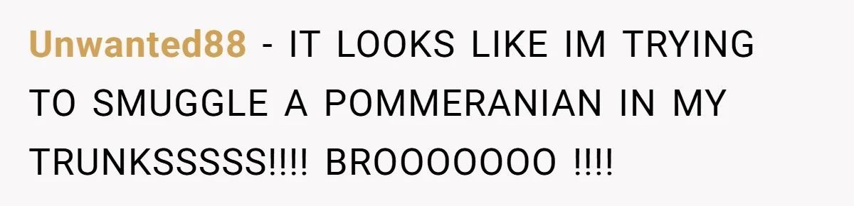 Unwanted88 − IT LOOKS LIKE IM TRYING TO SMUGGLE A POMMERANIAN IN MY TRUNKSSSSS!!!! BROOOOOOO !!!!
