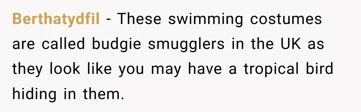 Berthatydfil − These swimming costumes are called budgie smugglers in the UK as they look like you may have a tropical bird hiding in them.