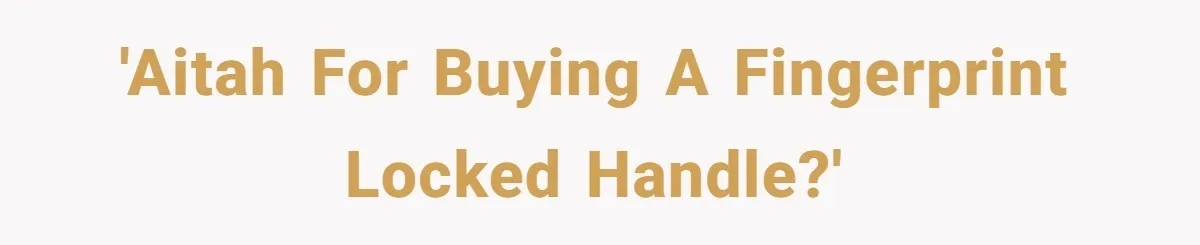 'AITAH for buying a fingerprint locked handle?'