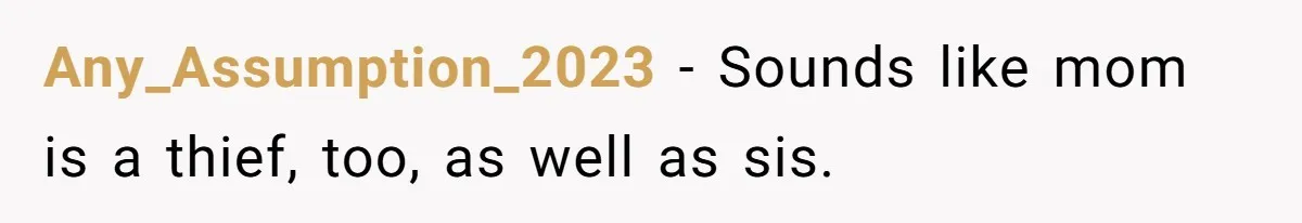 Any_Assumption_2023 − Sounds like mom is a thief, too, as well as sis.
