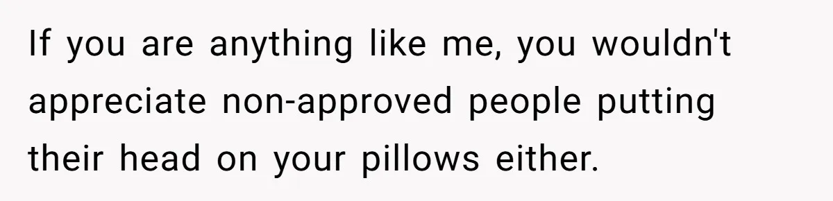 If you are anything like me, you wouldn't appreciate non-approved people putting their head on your pillows either.