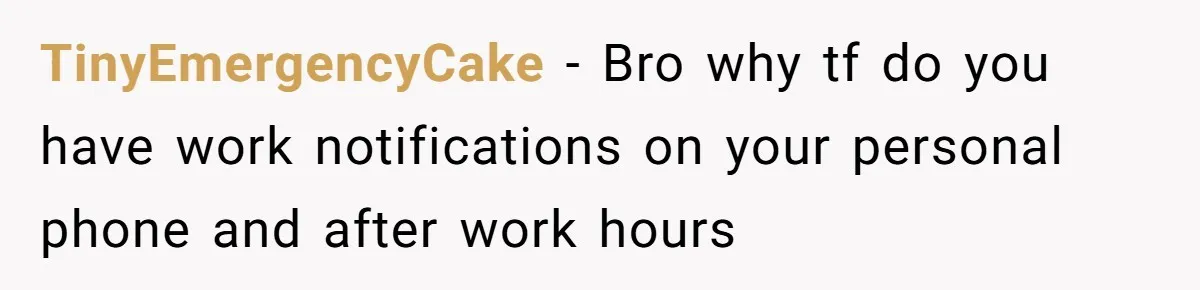 TinyEmergencyCake − Bro why tf do you have work notifications on your personal phone and after work hours