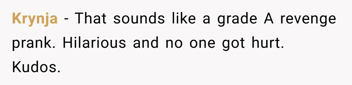 Krynja − That sounds like a grade A revenge prank. Hilarious and no one got hurt. Kudos.